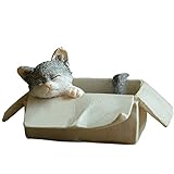 Gemmia Cat Fairy Figurine - Box Stray Cat Statue