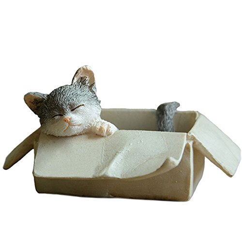 Gemmia Cat Fairy Figurine - Box Stray Cat Statue
