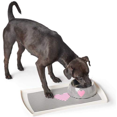 HUNTER BIRI Melamin-Napf, mit Edelstahlnapf, 700 ml