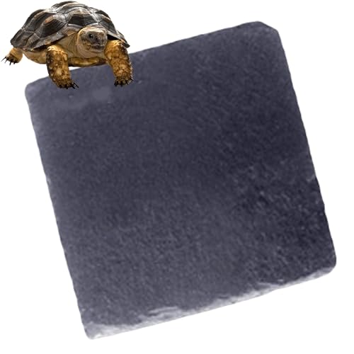 RYOHIN Lab.(良品ラボ) 亀 乾燥ボード カメ 爪磨き 水槽 保温 保湿 爬虫類 飼育ケース内装 床材 溶岩 石 1枚 (10×10cm)