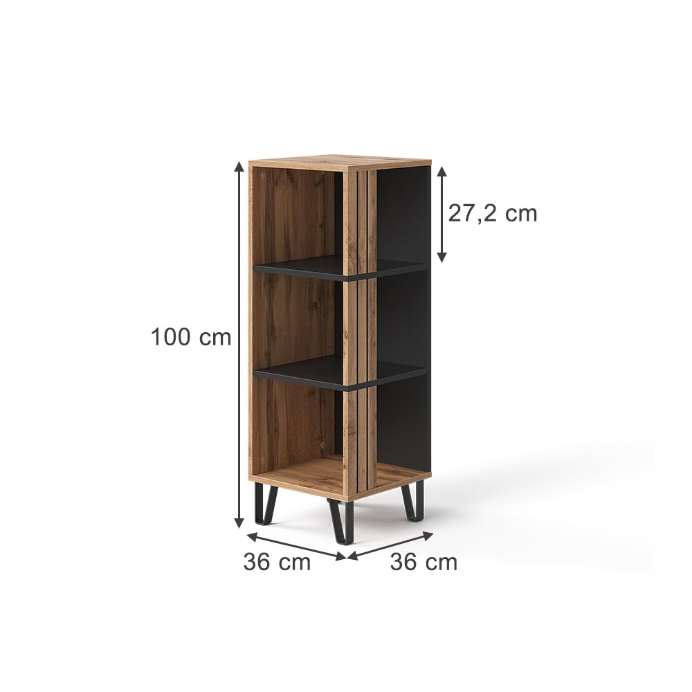 Vicco Bücherregal Amber, Eiche Wotan, 36 x 100 cm | mit 3 Fächern, mit Ablagefach für zusätzlichen Stauraum