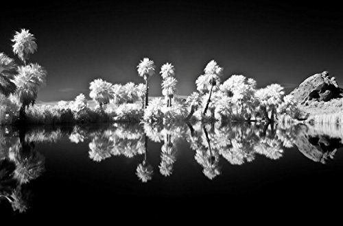 Filtro IR76 De 40,5 Mm Filtro De Grado óptico Infrarrojo IR De 760 NM