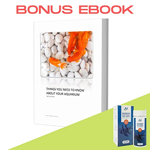 Aquarium Ammonia Test Strips | Fast And Accurate Water Quality Ammonia Testing Kit For Saltwater & Freshwater Aquariums & Fish Tanks – Ammonia Test Kit For Aquarium Helps Keep Fish Safe (100 Strips) #TOP3