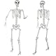SIFOEL 180cm Halloween lebensgroßes Skelett Halloween posierbare Ganzkörperskelette mit beweglichen Gelenken für Halloween-Requisiten gruselige Party-Dekoration (180-2P)