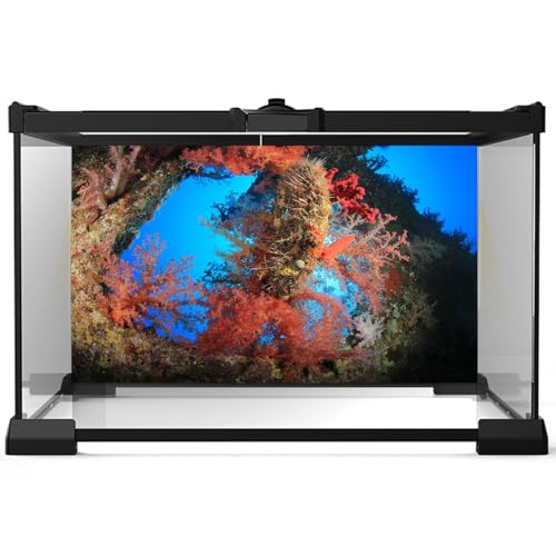 Image of Soft Corals Aquarium Background Large Soft Corals on Underwater Shipwreck Terrarium Backdrop Tropical Style Colorful Corals Undersea Fish Tank Background Wallpaper Poster Decors Vinyl 30x18in