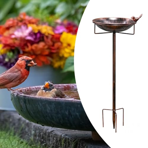 Mangeoire à oiseaux en fer forgé, accessoire décoratif de haute qualité - 6