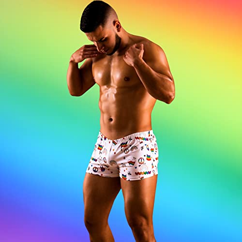 Pali Sexy Mens Gay LGBT Pride Premium Quality Print Swimsuit Swim Brief Trunks Bathing Suit4