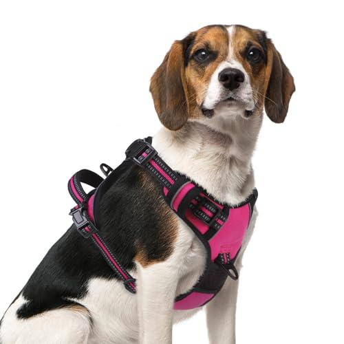 PUPTECK No Pull Dog Harness Medium Sized, Adjustable Reflective Dog Harness with Handle Easy Control, Comfortable Soft Padded Pet Vest Harness for Medium Dogs, Fuschia M