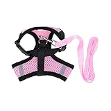 Harnais pour chien pour chiots - cette écharpe garde votre chien , sec et respirant, harnais pour animaux de compagnie pour petits chiens