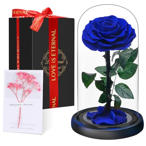 Rosa Eterna En Cúpula De Cristal, Rosa Bella Y Bestia, Flores Naturale Preservada, Ideas Rosas Regalos Para Día De La Madre, Día De San Valentín, Aniversario,Navidad, Mujer, Mamá, Novia, Abuela Rosa Eterna En Cúpula De Cristal, Rosa Bella Y Bestia, Flores Naturale Preservada, Ideas Rosas Regalos Para Día De La Madre, Día De San Valentín, Aniversario,Navidad, Mujer, Mamá, Novia, Abuela