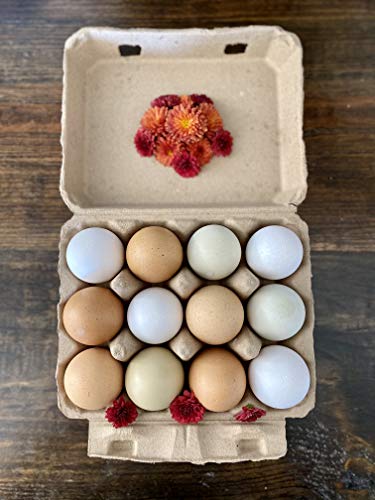 Vintage Blank Egg Cartons- Classic 3x4 Style Holds 12 Large Eggs, Sturdy Design Made from Recycled Cardboard (25) - Thumbnail 4