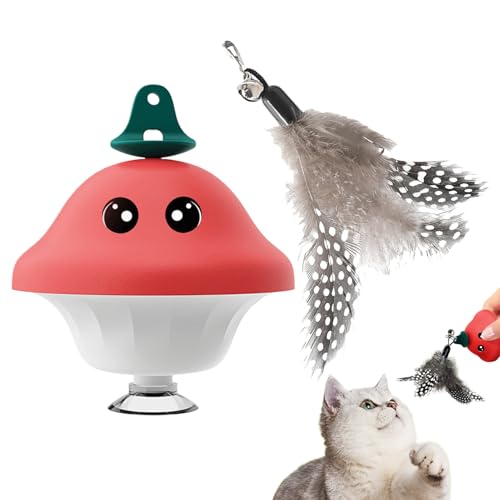 L̂߂̂,[z,LphgC - ^ ^ ^ qL p  x_ K[f Ő  