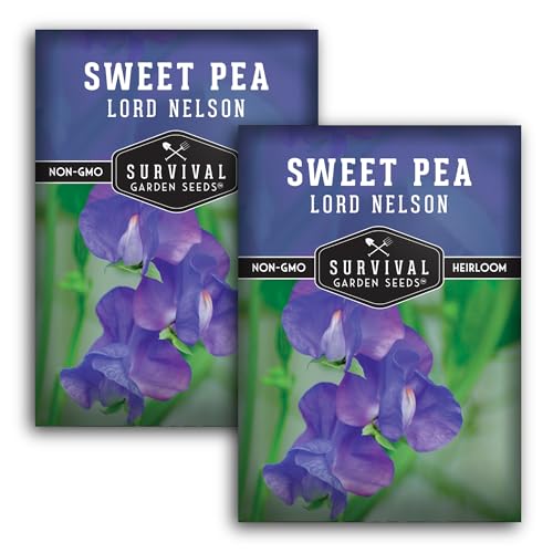 Blue Sweet Pea Seeds Lord Nelson Heirloom 2 Packs