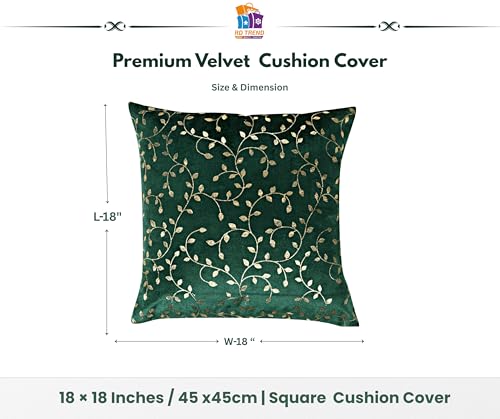 Image of RD TREND Premium Velvet Cushion Covers Set of 2 | Soft Decorative Throw Pillowcases for Sofa, Bed & Living Room | Cushion Cover 18 inch x 18 inch (45x45cm) Dark Green
