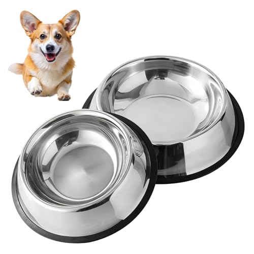 Jomdjmskes 2 Pcs Ciotole per Gatti, Ciotola per Cani, Ciotola Acqua Cane in Acciaio inox con Tappetino Antiscivolo Gomma, Igienica Durevole per Cani Piccoli, Medi E Grandi, Lavabile in Lavastoviglie