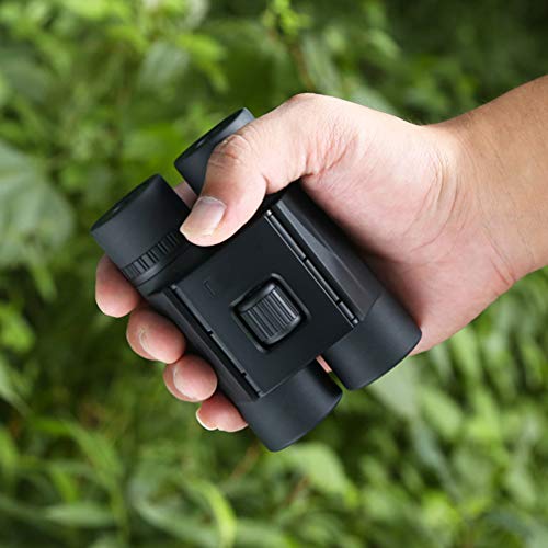Xunmaifwy High Compact Binoculars Telescope For Adults Kids With Low Light Night Vision, Folding Binocular For Bird Watching Hiking Travelling, 10X25 #TOP6
