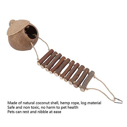 Cabana de ninho de coco com escada para papagaios, hamsters, pássaros pequenos – ninho de casca de c