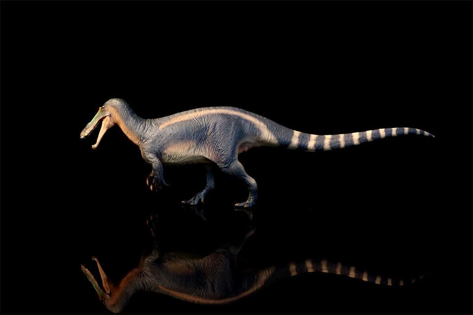Figurine Suchomimus Thabo d'AMITD en PVC pour décor de chambre d'enfant