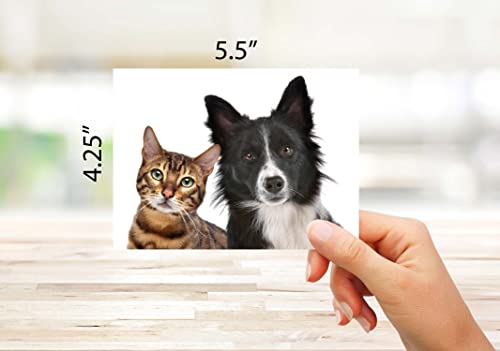 Image of Small World Greetings Dog and Cat Greeting Cards 12 Pack Blank Inside with Envelopes - A2 Size (5.5 inchx4.25 inch) - Pet Lover Gift, Birthday, Thank You, Thinking of You - Made in USA
