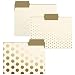 Graphique Decorative Colored File Folder (FIF006)