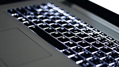 Puzzle 1000 Teile,Intellektuelle Entwicklung Pädagogisches nach Hause Interessante Dekompression Brain Challenge Puzzle für Jugendliche