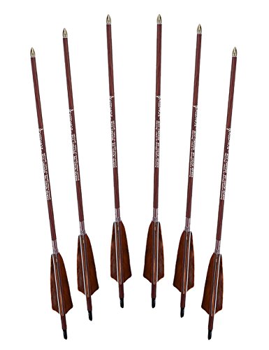 Pandarus Archery 31-Inch Carbon Hunting Arrows, 4-Inch Turkey Feather Fletching With Replaceable Points, Targeting Practice Arrows Spine 500 For Recurve & Traditional Bows (6 Pack) #TOP1