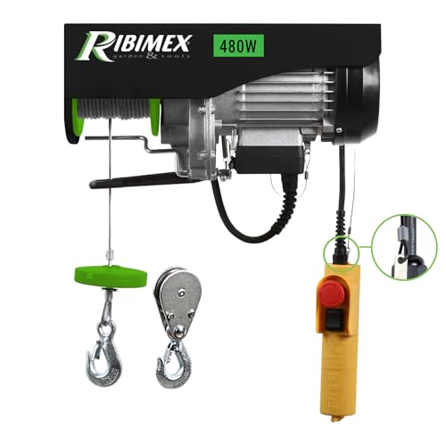 RIBIMEX PE100/200PT Polipasto eléctrico 100/200 kg, 450 W, cable de 12 m
