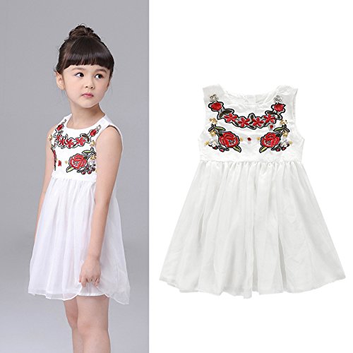 Diamondo Infantil Meninas Vestido de Véu Branco Diamante Floral Saia de Vestido de Princesa (Idade (