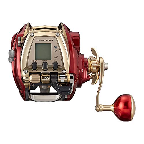 Daiwa Sealine-Xa Conventional Reel