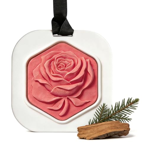 YD LIFE Palet Parfumé en Plâtre pour Armoire, Suspension Parfumée Sapin et Cyprès, 10% Huiles...