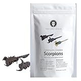 Thailand Unique Chocolate Covered Armor Tail Scorpions - 1 Bag of 2 Pieces of Dehydrated Edible Insects for Humans, Nutritious Bugs Superfood Weird Unusual Snack Gift