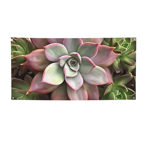 AAoi[TC O  a wi |X^[ p[eB[ fR[V pi ʐ^wi Obgt p[\iCY EH[oi[ tbO