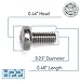 HPP Stainless Steel License Plate Screws Compatible with Audi Models
