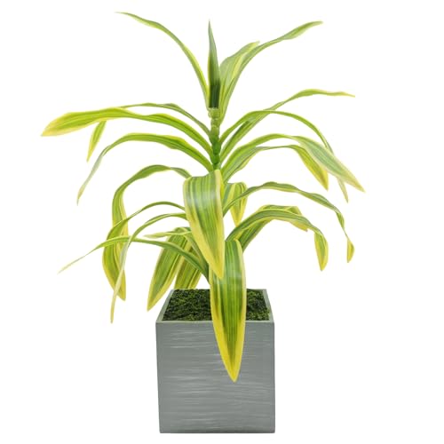 Image of KARP Artificial Potted Plants, 37Cm Height Mini Lily Bamboo Leaves Plant with Pots Home Decor, Indoor Artificial Ornamental Plant for Living Room, Office Desk & Bathroom, Decorative