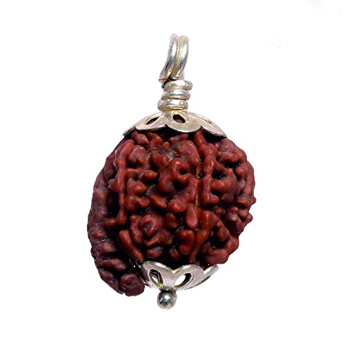 Colgante Rudraksha de Nepal en plata 925 para astrología y meditación unisex 2