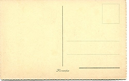 Primi '900 Firenze Panorama della Città visto da