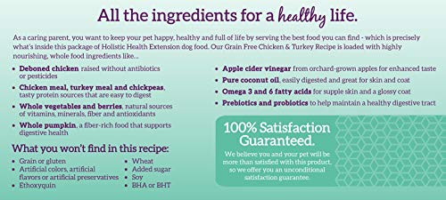 Health Extension Dry Dog Food, Natural Food With Added Vitamins, Suitable For All Puppies, Chicken & Turkey Recipe With Whole Vegetable & Berries (4 Pound) #TOP4