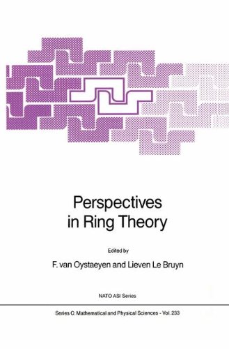 Perspectives in Ring Theory (Nato Science Series C:)