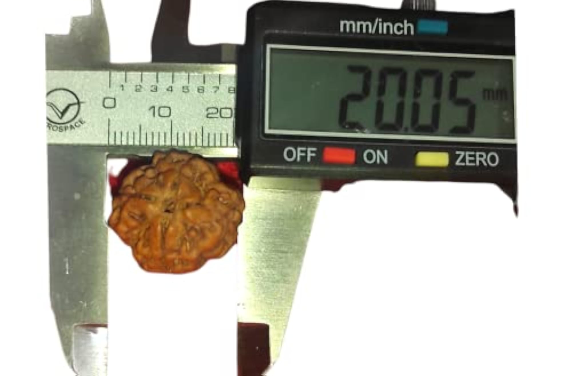 Four Mukhi Nepali Rudraksha Bead, Certified