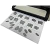 FD-258 Fingerprint Card, 10 Pack Latest Version Rev. 10/31/2023 Form Ink & Live Scan Compatible Use in Law Enforcement, Employment, Film or Video