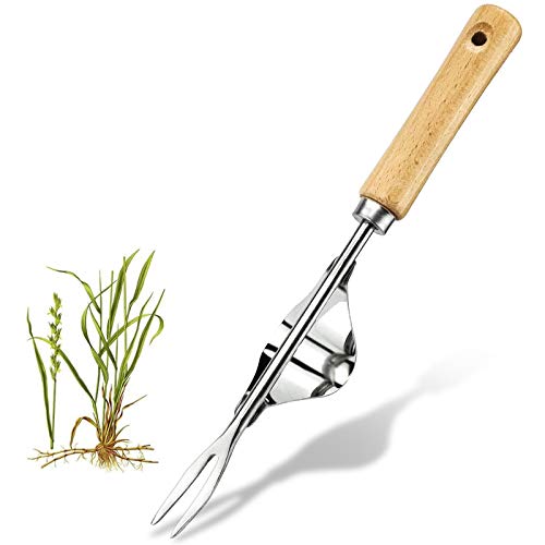 TOMOON Garden Manual Stainless Steel Lawn Mower,Easy Weeding and Deep Digging,Sturdy Chrome-Plated Steel,Non-Slip Ergonomic Handle with Anti-Bending Base,Removing Dandelions Thistles