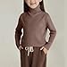 Girls Turtleneck Pullover Sweater Solid Color Long Sleeve Base Sweaters Children's Winter Warm Slim Knitted Top