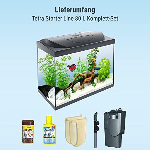 Tetra Starter Line 80 L Aquarium Komplett-Set - inkl. Tag- & Nachtlicht LED-Beleuchtung, Innenfilter, Heizer, Fischfutter und Wasseraufbereiter
