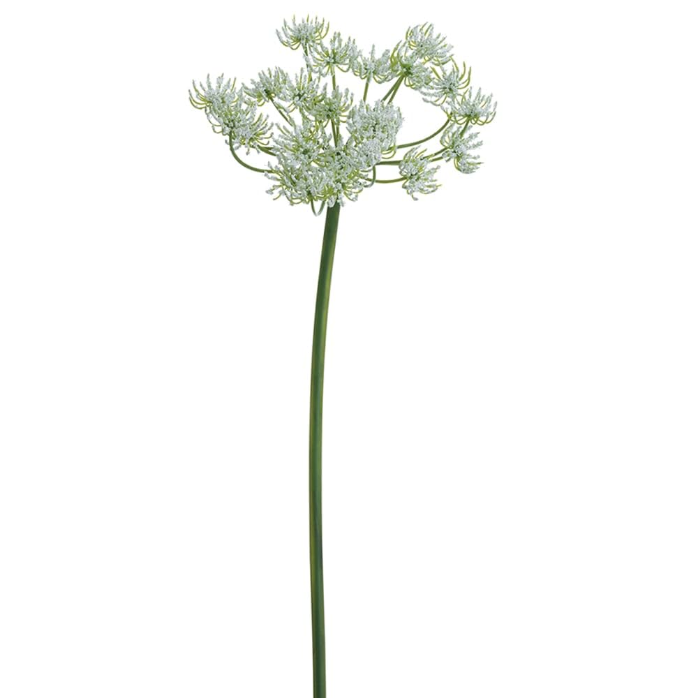 Amazon.com: SilksAreForever 19in Queen Anne's Lace Silk Flower