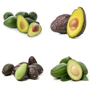 Generic Avocado Samen Säulenobstbäume zum Pflanzen 25pcs