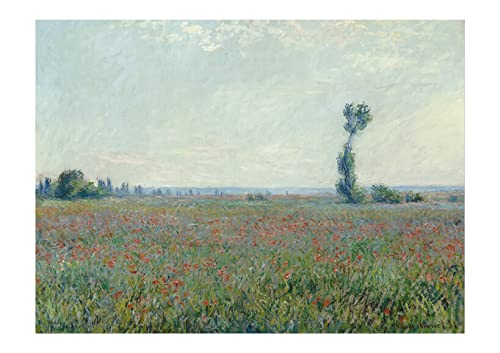 Impression d'art encadrée Claude Monet finition semi brillant Spiffing Prints