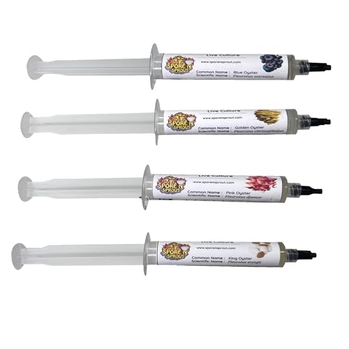 Spore n Sprout 4 Pack Oyster Mushroom Liquid Culture Blue Gold Pink King