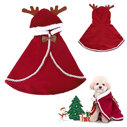 Nobleza Hond kerst outfit