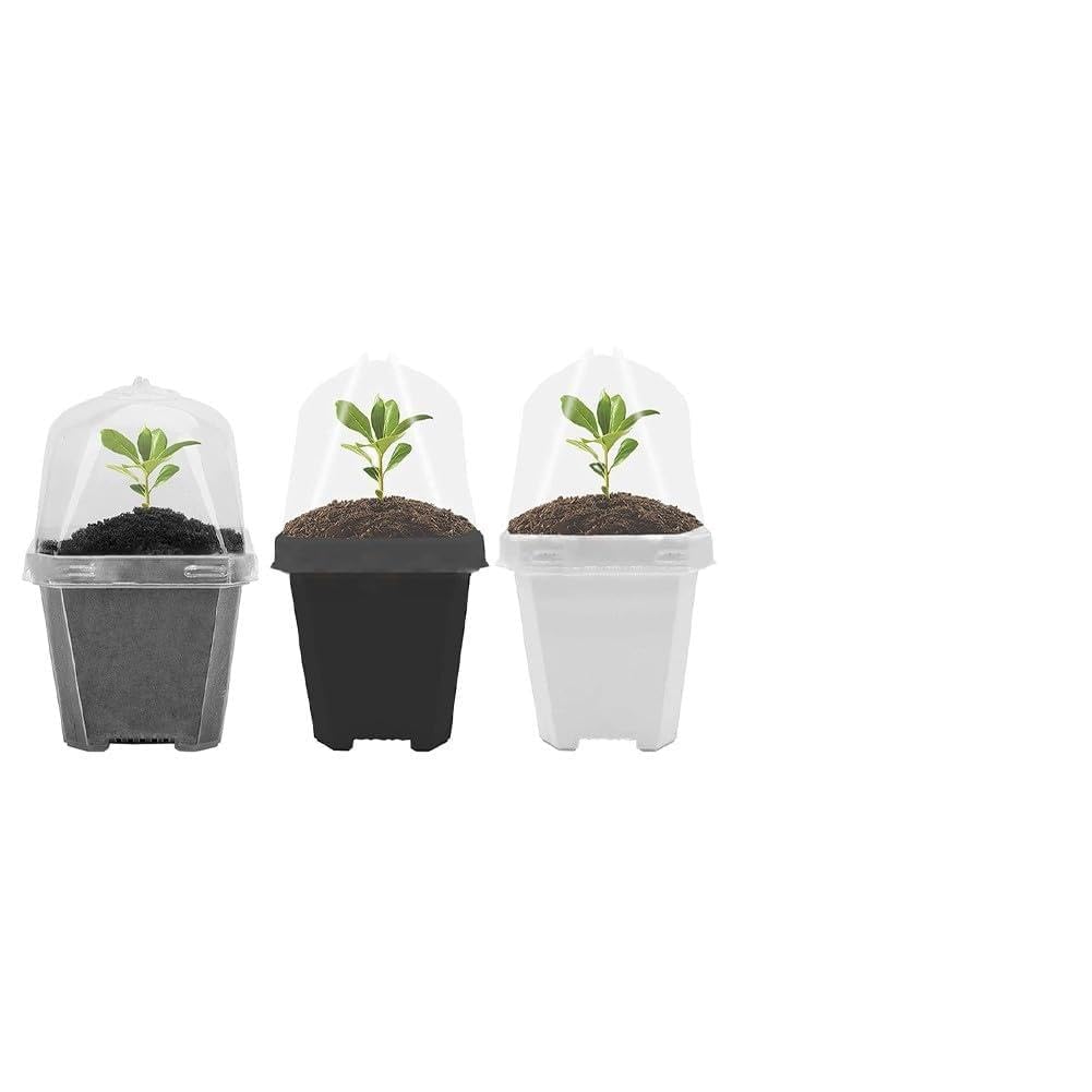 Macetas de vivero cuadradas con cúpulas de humedad para cultivar verduras y suculentas