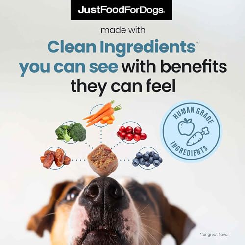 JustFoodForDogs Calming Supplement for Dogs Soft Chew to Support Stress and Anxiety, Melatonin, Relaxation Aid, Human-Grade Ingredients – 45 count JustFoodForDogs Calming Supplement for Dogs Soft Chew to Support Stress and Anxiety, Melatonin, Relaxation Aid, Human-Grade Ingredients – 45 count